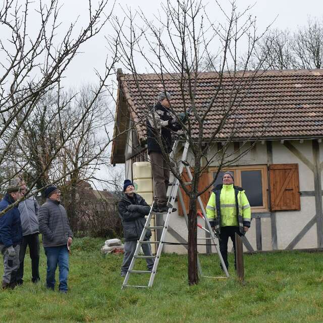 Journée Taille et Greffe 2026