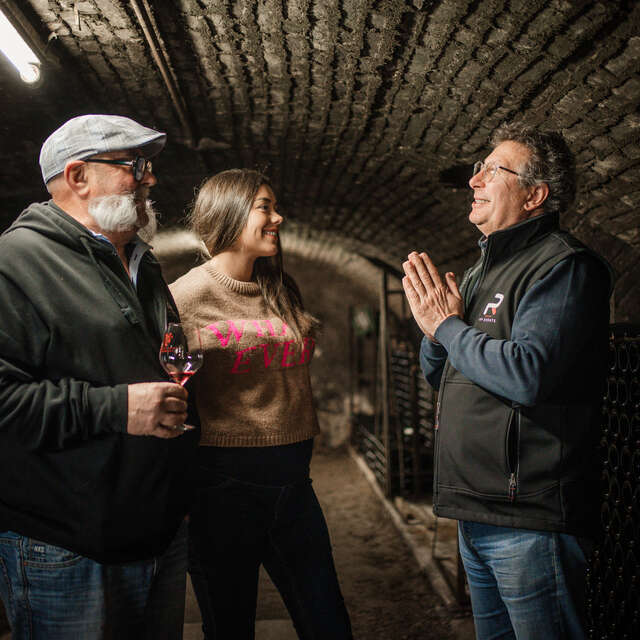 Wine Tour : Tasting dans les Grandes Maisons de Bourgogne