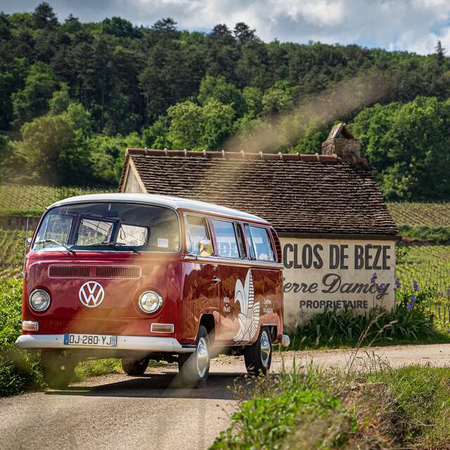 Chemins de Bourgogne - Circuit dans la Côte de Nuits, en Combi - Après-midi