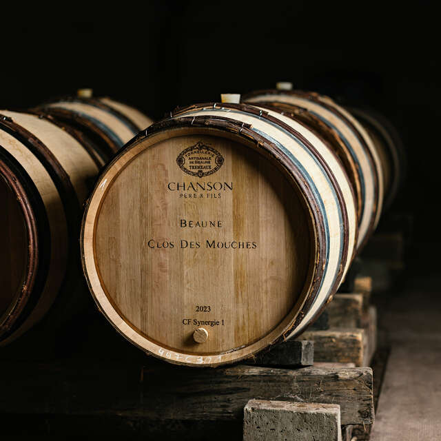 Domaine Chanson - Visite Prestige