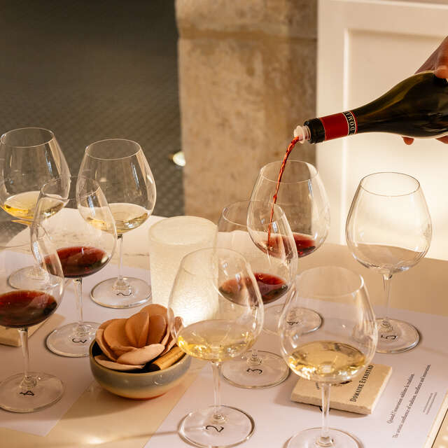 Expérience Découverte du Domaine Evenstad