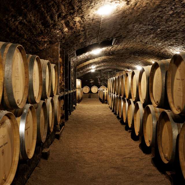 Domaine Lejeune