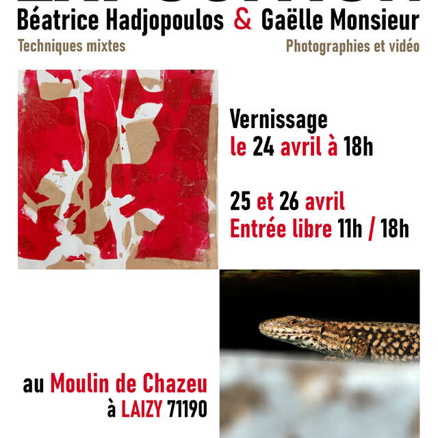 Exposition de peinture et photographie/vidéo de Béatrice Hadjopoulos et Gaëlle Monsieur