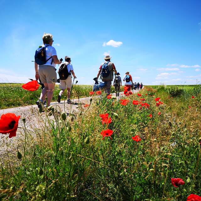 Via Francigena Canterbury-Rome en Haute-Saône