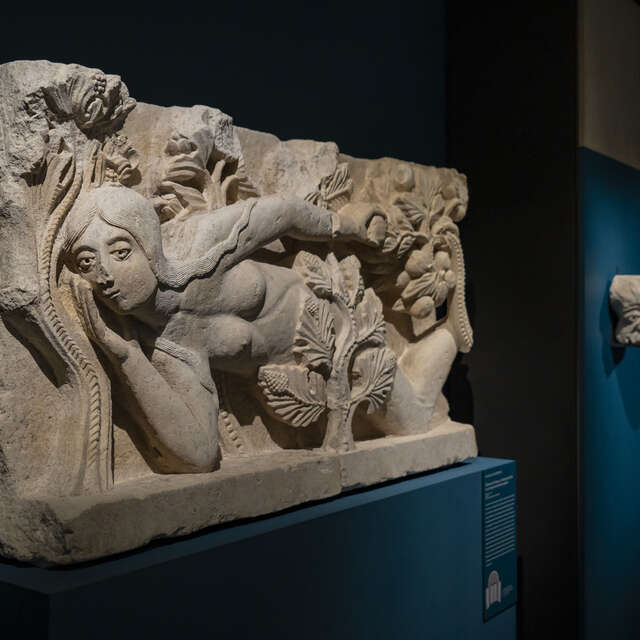 Visite guidée de l'exposition "Merveilles Choisies"