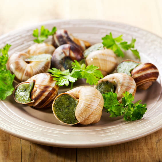 Hélice, l'Escargotier Beaunois