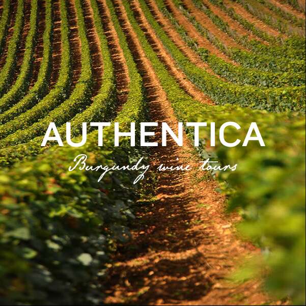 Authentica Tours
