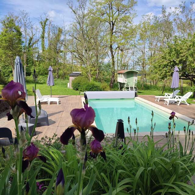 Les Divines Bourgogne