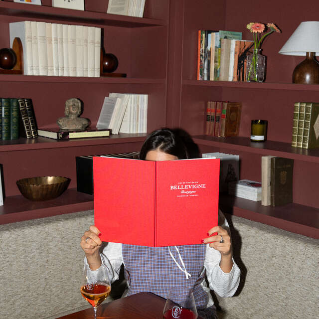 Bellevigne Bourgogne