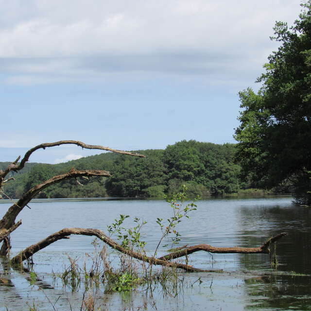 Semaine  des ENS de Saône-et-Loire: la retenue d'eau du Pont du Roi.