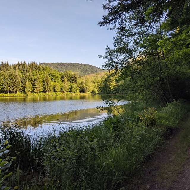 Le Grand Rosbeck (petit circuit)