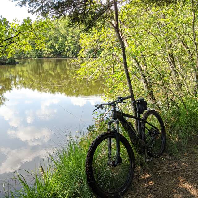 VTT n°52 Le Piémont vosgien