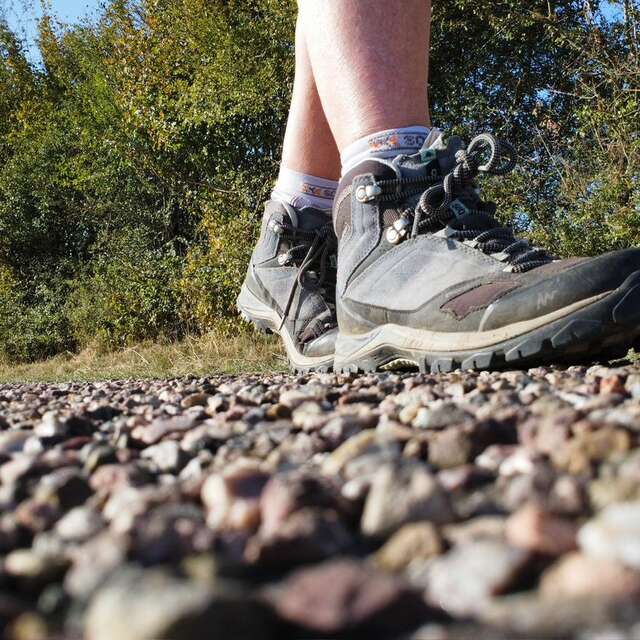 Marche de la Via Francigena en fête