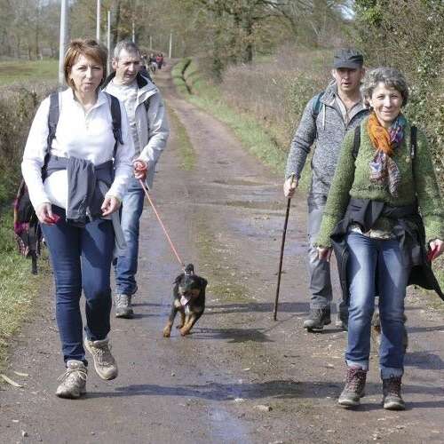 Marche des Confitures