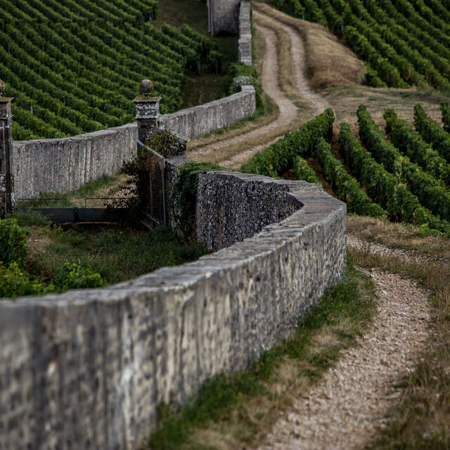Chemins de Bourgogne - Après-midi en Côte de Nuits