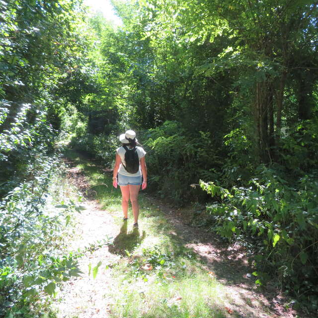 La Forêt des Hauts Bois
