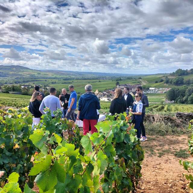 Les trésors cachés du vignoble de Santenay