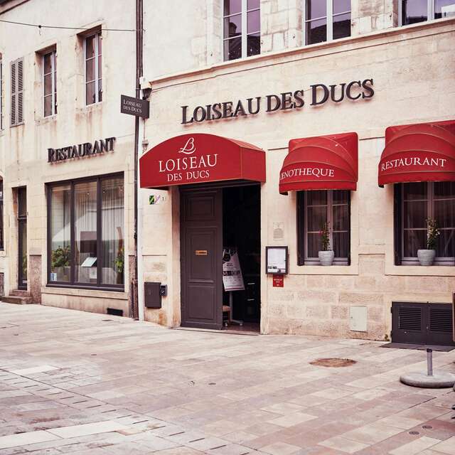 Loiseau des Ducs