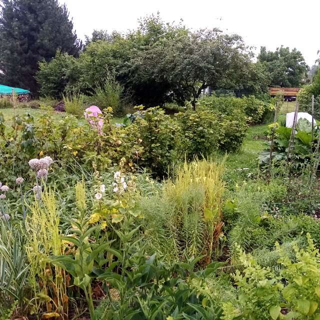 Bienvenue dans mon jardin au naturel : chez Christian & Catherine