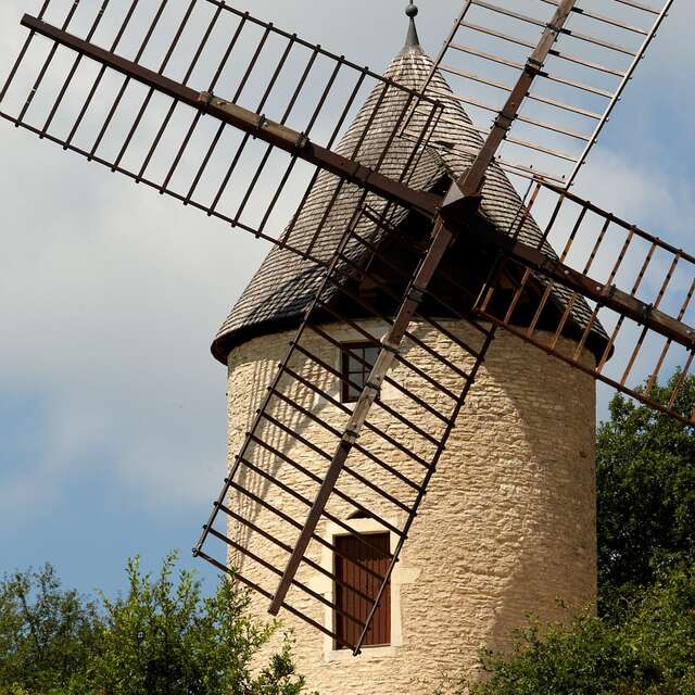 Visite guidée « à la découverte du moulin & du vignoble de Santenay »