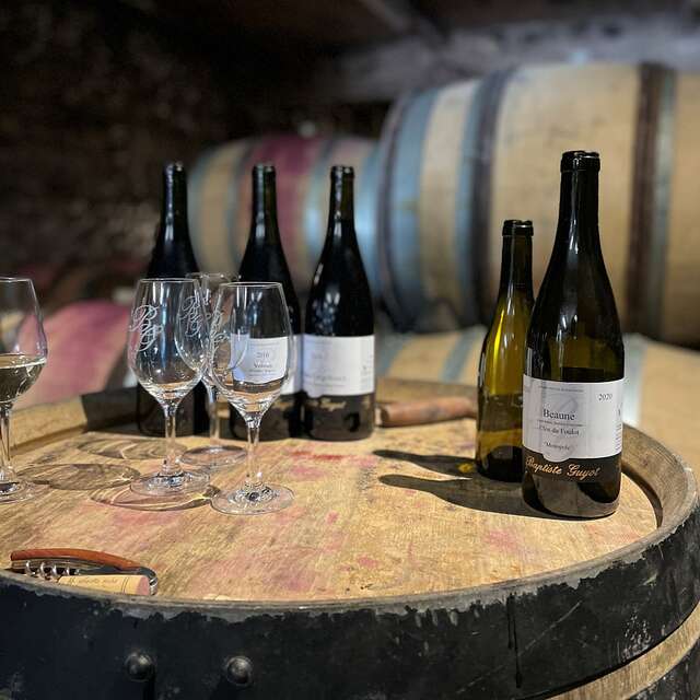 Domaine Baptiste GUYOT : Découverte de nos vins et des caves