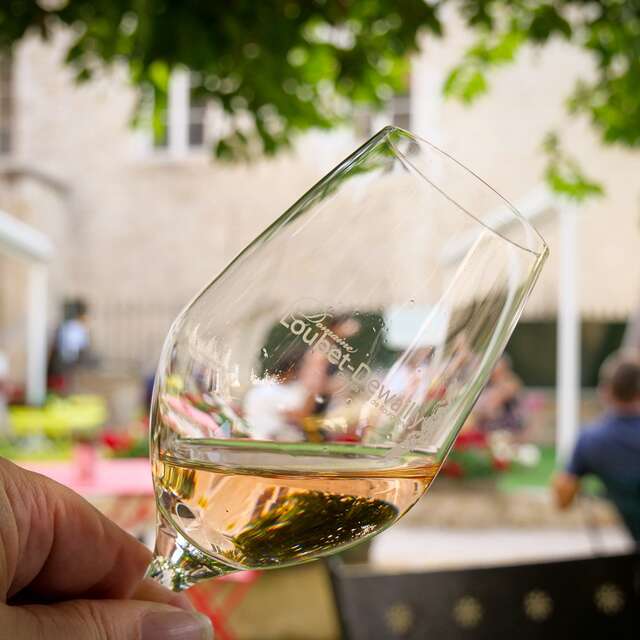 Caveau de dégustation Loubet-Dewailly - Découverte des vins de la Côte de Beaune