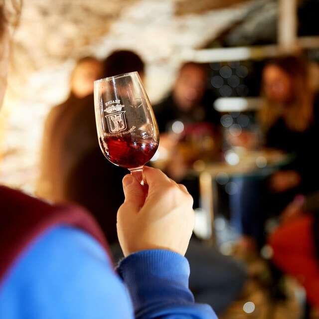 Domaine Besancenot- Visite Dégustation: Plaisir Gourmand 7 vins