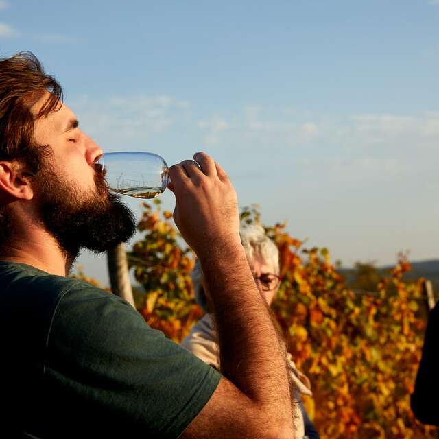 Domaine François et Blandine Rocault – « vis ma vigne » : l’éveil des sens dans les Hautes-Côtes de Beaune