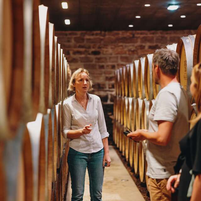 Château Philippe le Hardi - Visite "Au coeur du fief de Santenay"