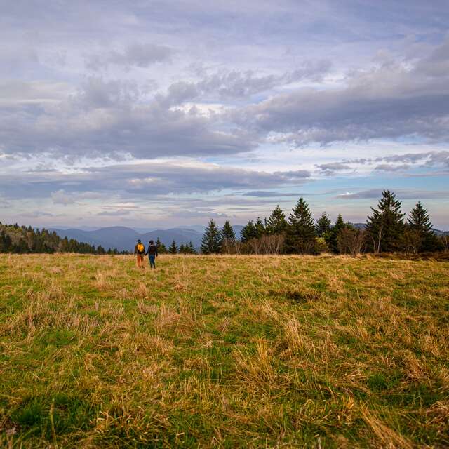 GR59 en Haute-Saône