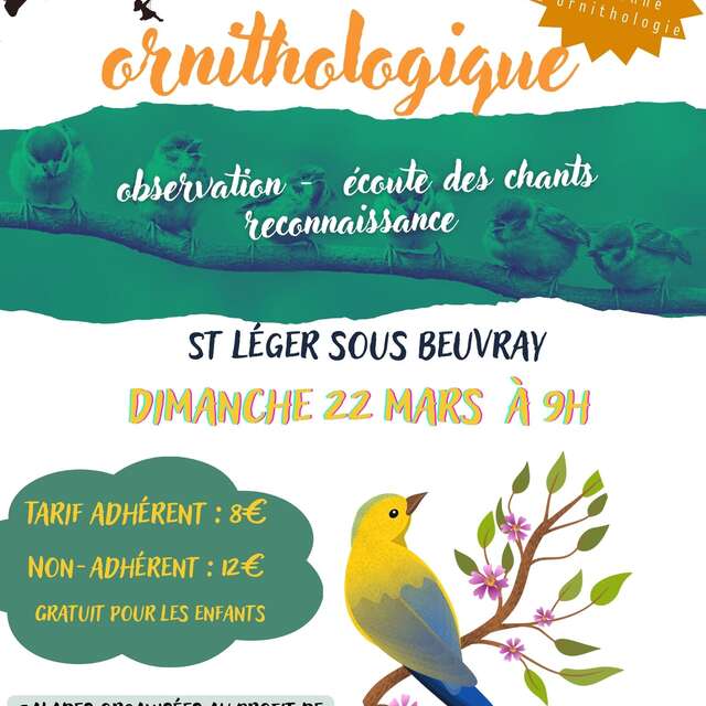 Balade ornithologique