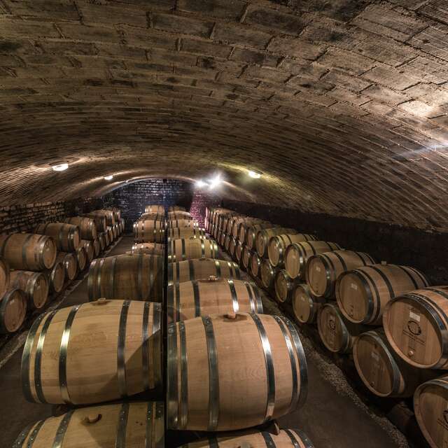 Domaine Antoine Olivier
