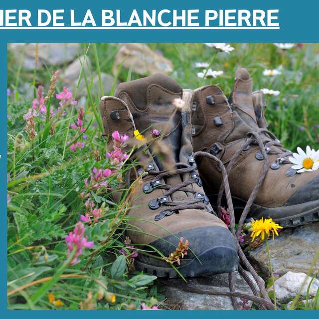 SENTIER DE LA BLANCHE PIERRE