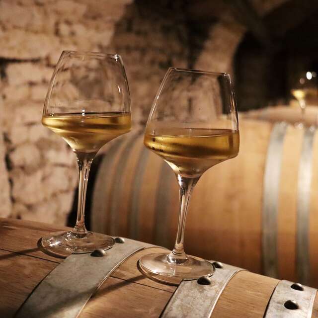 Découverte et dégustation du Chai Urbain BIO « La Cuve en Ville » au cœur de Dijon - La Fine Heure