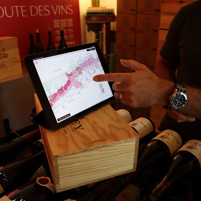 Masterclass Pinot noir - Les Clos Vivants