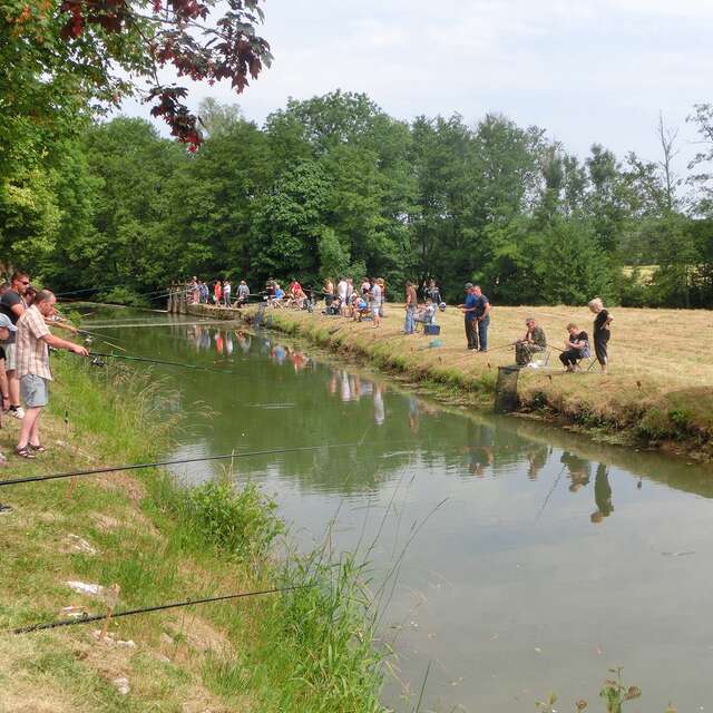 La Gaule chanitoise