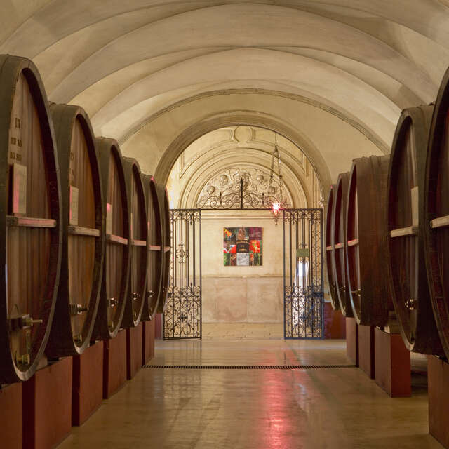 VISITE COMPLÈTE - Beaune Underground : Le plus grand réseau de caves
