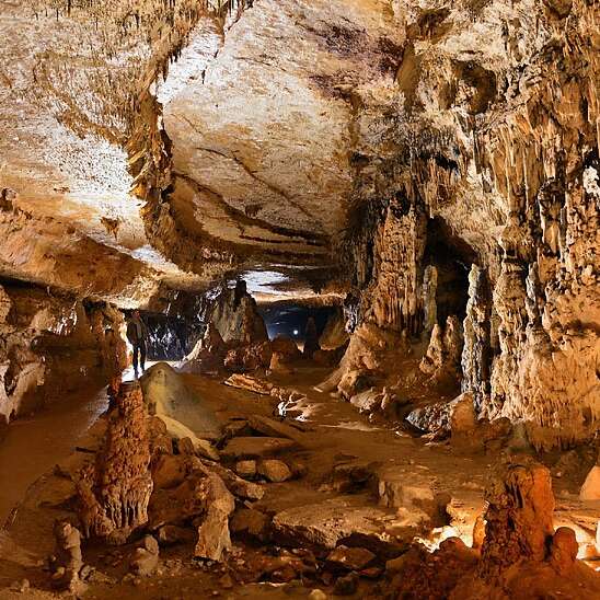 Grottes d'Arcy-sur-Cure