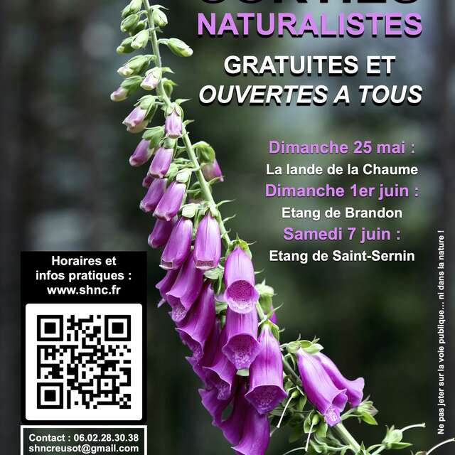 Sortie naturaliste commentée
