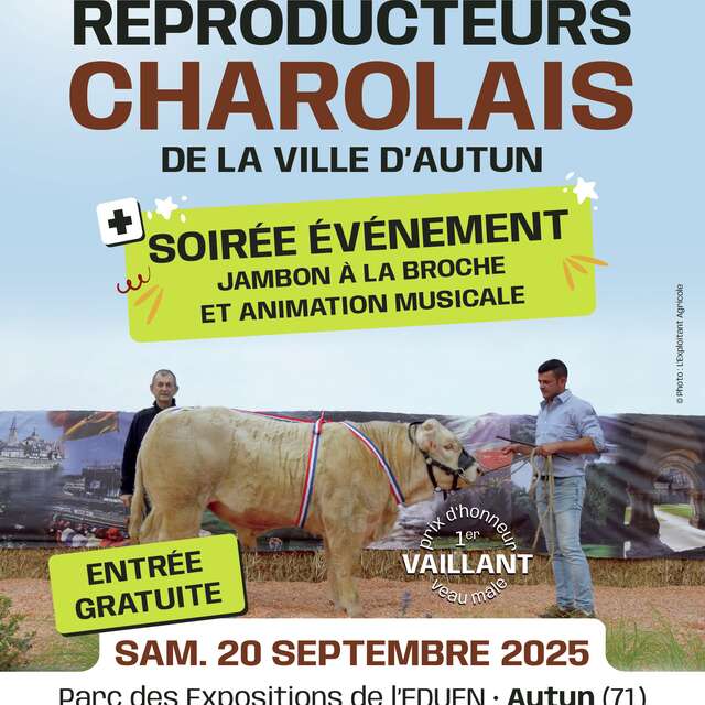 Concours de reproducteurs charolais inscrits au HBC