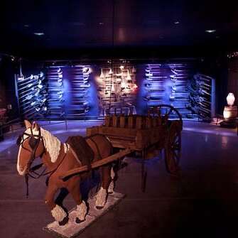 L'Imaginarium - Visite « L’Eveil des sens »
