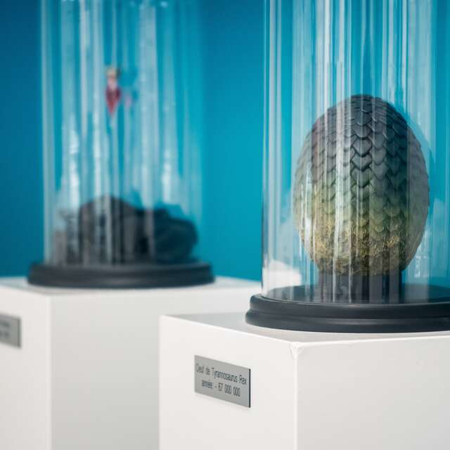 Timing Room Escape Game