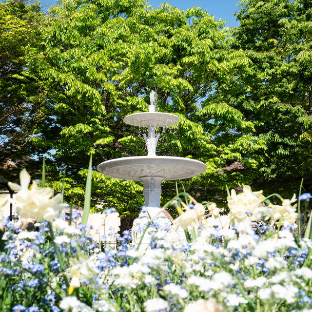 Promenade contée à Savigny, en compagnie d'Eulalie