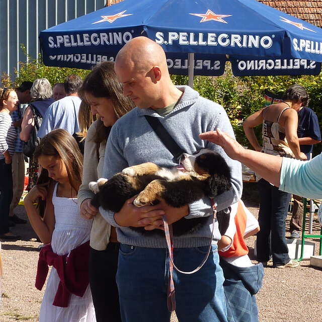 Vide Grenier
