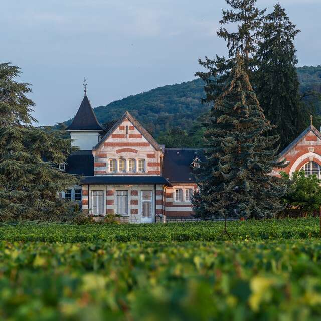 Ladoix-Serrigny. La famille Rossignol distille dans un alambic