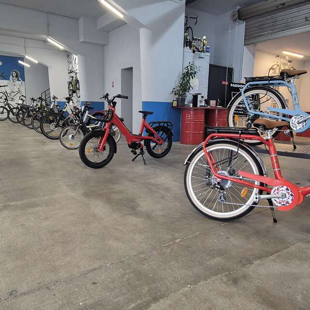 Paddock Shop