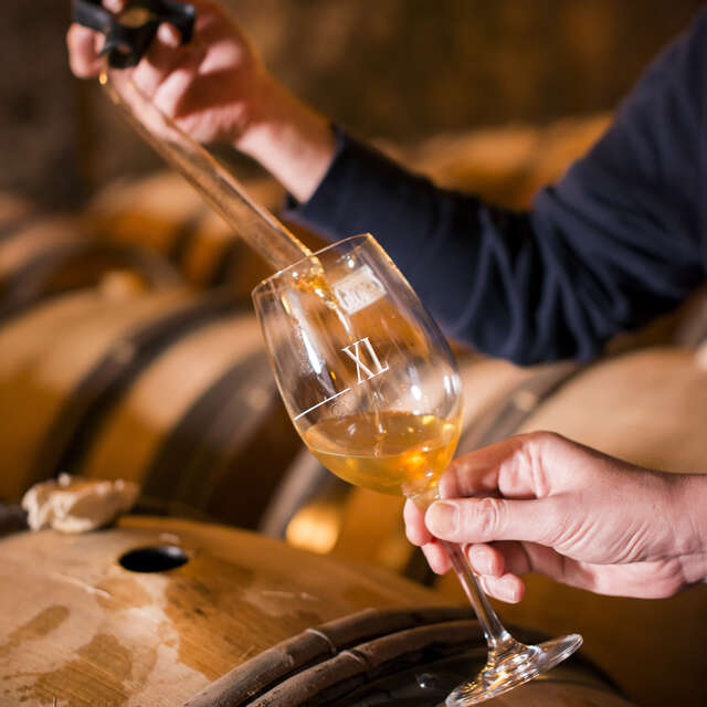 Dégustation privative au Château de Meursault