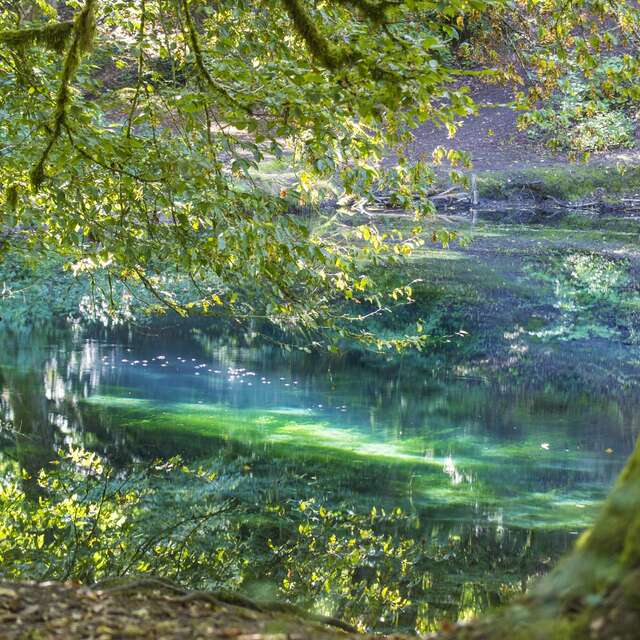 Circuit patrimonial de la Source du Planey