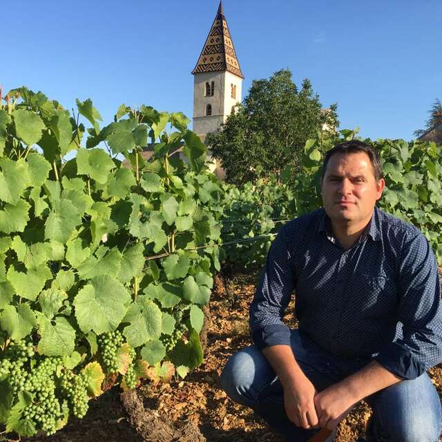 Société Vin et Terroirs marque Wine and tours