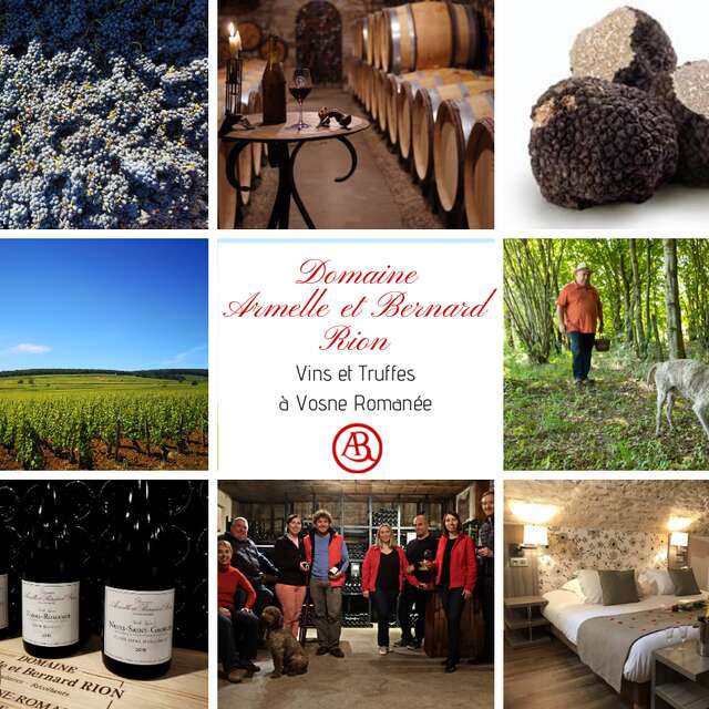 Visites au Domaine Armelle et Bernard Rion